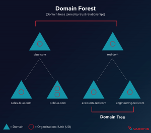 Domain Forest